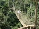 Wackelige Hängebrücke im Kakum-Nationalpark